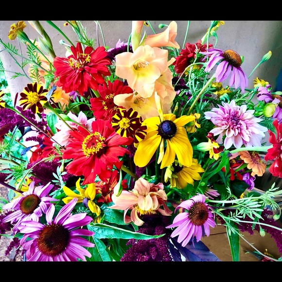 Meet your Posher, Jackie - Picture 2 of 2